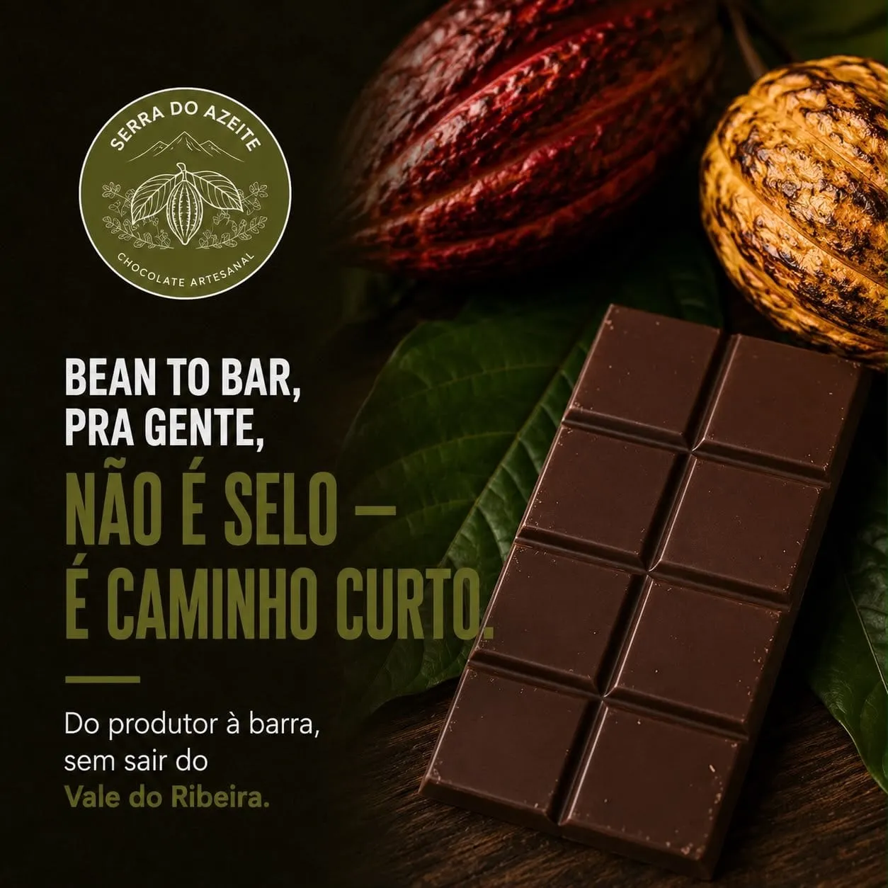 Barra de chocolate Serra do Azeite ao lado de frutos de cacau sobre folhas
